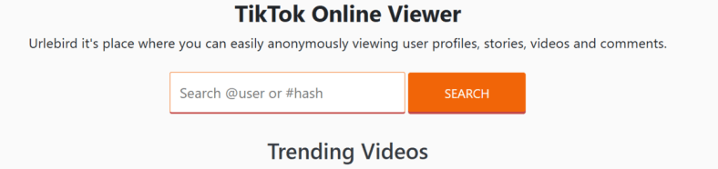Best TikTok Viewer in 2024: View TikTok profile and videos anonymously 1